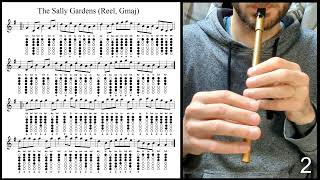 Tuto Tin Whistle  The Sally Gardens Reel Gmaj [upl. by Wald707]