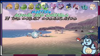 Hunting Alphas and Shinies in the Cobalt Coastlands  Day 6 [upl. by Marie-Jeanne]