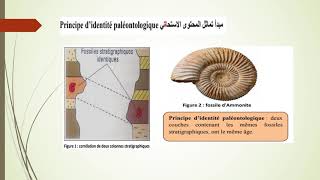 Stratigraphie  Cours SVT 2ème Année  Comprendre les Couches Géologiques [upl. by Tabitha431]