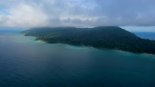 Gorgona the magical island of the Colombian Pacific  AFP [upl. by Oinegue]