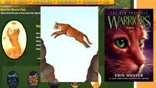 Dark Ginger I overanalyze one Warrior Cat color [upl. by Anirod686]