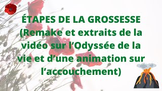 Les étapes de la grossesse [upl. by Ekul746]