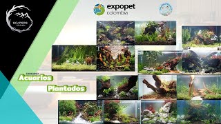 EXPOPET Colombia 2024  Concurso de acuarios platados [upl. by Fishback]