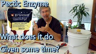 Pectic Enzyme  What does it do given some time [upl. by Medrek131]