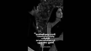 evergreen malayalam movie thoovanathumbikal malayalam whatsapp status youtube shorts [upl. by Kolodgie]