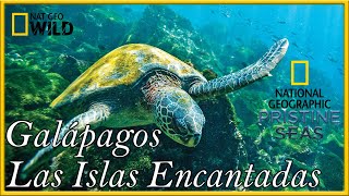 Galápagos Las Islas Encantadas EcuadorParte 1Documental NAT GEO HD [upl. by Stout]