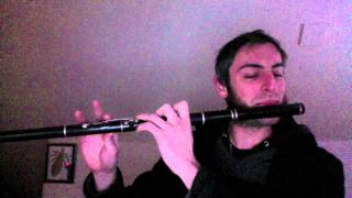 Cooleys Reel  Irish Flute  slowfast [upl. by Floris]