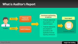 What is an Auditors Report [upl. by Eiddam]