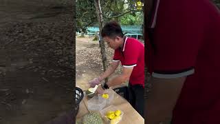 Unboxing baby durian musangking 121 [upl. by Eek]