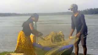 Saving Sri Lankas Mangroves [upl. by Joaquin]