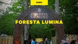 Foresta Lumina  An Enchanted Night Walk From Park to Illuminated Forest [upl. by Dilisio658]