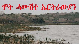 Mestyat Betna  ካብ ኢትዮጵያ ብኬንያ ናብ ኡጋንዳ ክሰግሩ ሂወቶም ዝኸሰሩ ኤርትራውያን [upl. by Jeniffer]