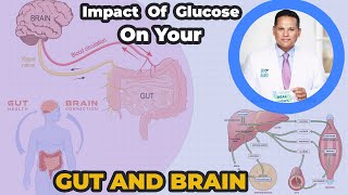 From Gut to Brain The Deep Dive into Glucose Metabolism and Health  Dr Nandi [upl. by Brittaney]