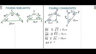 8° Figuras semejantes y figuras congruentes [upl. by Adi258]