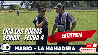 MILAN vs LA MAMADERA ENTREVISTA LIGA LOS PUMAS SENIOR COBERTURA PDP [upl. by Daly]