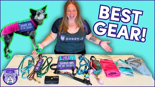 MustHave SERVICE DOG GEAR Professional Trainer Recommendations [upl. by Yerffeg]