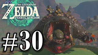 Kiltons Monster Museum  Zelda Tears Of The Kingdom  Part 30  Playthrough [upl. by Farrah]