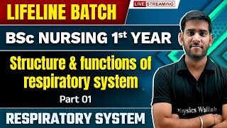 Structure amp Functions Of Respiratory System  Part  1  Respiratory System  BSc Nursing 1st Year [upl. by Acquah280]