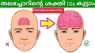 തലച്ചോറിന്റെ ശക്തി 10x വർധിപ്പിക്കാം 👍 Neurobics exercise Neurobicsexercise brainpowerexercise [upl. by Harlan919]