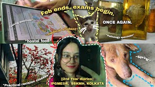 Feb ends finals startI rant about studies food at hostel seeing patho specimens and more [upl. by Hoppe]