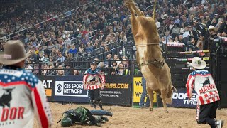 The best Bucking Bull Moments PBR 2022 [upl. by Nomyt138]