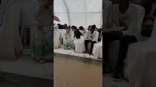 wedding tdf habesha tigrigna shortvideo tiktokvideo tiktok viralvideo viraltiktok new [upl. by Aymer920]