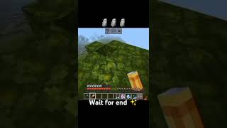 Boyes in minecraft minecraft minecraftpe minecraftshorts anime viralshorts tranding mrbeast [upl. by Irod72]