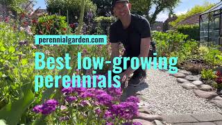 My favorite LowGrowing Perennials amp Flowers for Garden Borders  Perennial Garden [upl. by Latreece822]