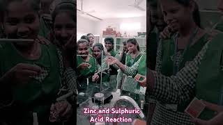 Zinc and Sulphuric acid Reaction  My Class  Laboratory Experiments [upl. by Den]