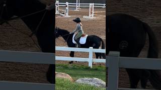 🤩😍 horse bestpony horseriding equestrian [upl. by Ripp]