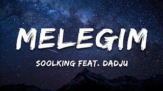 Soolking ft Dadju  Melegim  Paroles [upl. by Nhepets871]