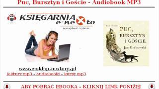 PUC BURSZTYN i GOŚCIE  AUDIOBOOK MP3  Jan Grabowski BAJKA DLA DZIECI  POBIERZ [upl. by Naitirb]