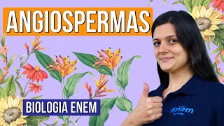 ANGIOSPERMAS veja as características destas plantas RESUMO DE BIOLOGIA ENEM Profa Claudia Aguiar [upl. by Ynaffad]