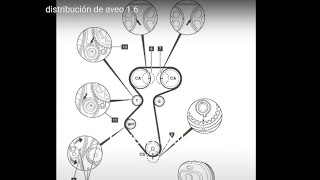 como cambiar la banda de distribución de aveo 16 [upl. by Zannini]