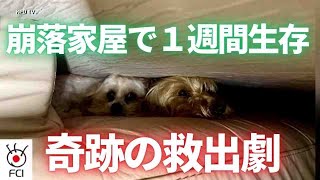 アラスカ崩落家屋から救出 １週間ぶりの生還 [upl. by Nosille]