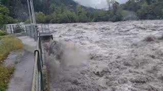 Hochwasser Rhein DonatEms 28082023 [upl. by Aible]