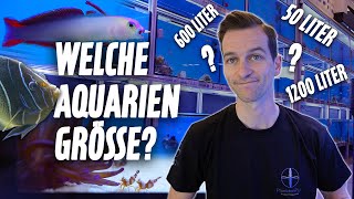 Aquariengrößen für FISCHE  Kategorien im Meerwasseraquarium  PlanktonPlus Aquaristik [upl. by Alegnatal]