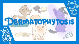 Dermatophytosis [upl. by Arquit955]