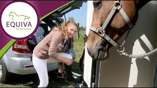 Reiten  Ein Turniertag mit Luisa [upl. by Analem]