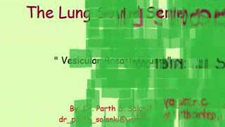 Breath Sound Bronchial vs Vesicular [upl. by Ojytteb]