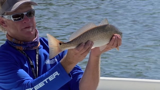 Choctawhatchee Bay Fishing for Redfish and Trout Destin Florida [upl. by Treblah]