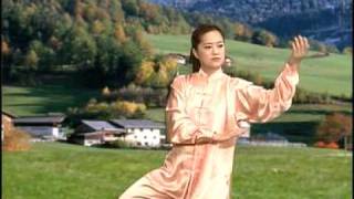 YangStyle 48 Form Tai Chi Chuan [upl. by Ferde689]