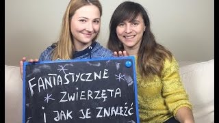 Fantastyczne zwierzęta i jak je znaleźć książka i film bez Harrego Pottera KrótkaPrzerwa10 [upl. by Tegan]