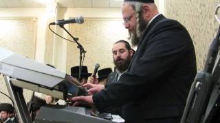 Meir Adler Shloimi Meisler rocking part 5 [upl. by Wellesley]