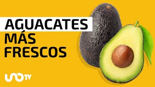 ¿Cómo conservar el aguacate más fresco [upl. by Giuditta]