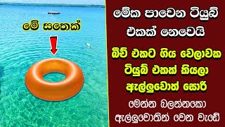 ඔබ මේවා දකින්නේ ජිවිතේ පළමු වතාවට EP291 [upl. by Renba]