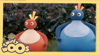 This Way That Way  Twirlywoos  Videos for Kids [upl. by Inkster]