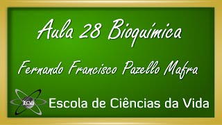 Bioquímica Aula 28  Bioenergética  Parâmetros termodinâmicos [upl. by Gale]