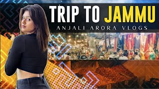 Trip to Jammu 🚗  Journey to Vaishno devi Part 1  Anjali Arora  Vlog [upl. by Ylrak]