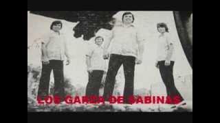 LOS GARZA DE SABINAS  POR VERTE FELIZ [upl. by Wallinga]